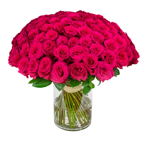 kytice růžových růží